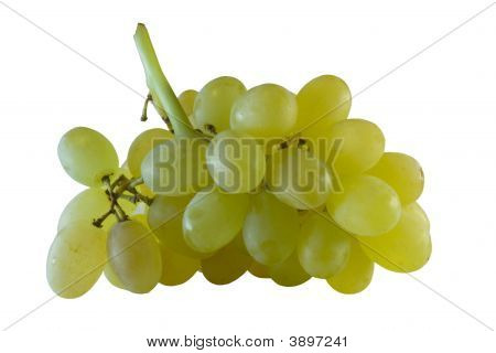 Bunch Of Grapes
