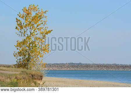 Colorado Autumn Lake Landscape With Tree With Yellow Autumn Leaves At Lake Standley In Westminster C