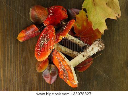 červené amanitas s mechem, na dřevěné pozadí