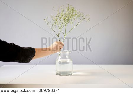 Bouquet 006, Step By Step Installation Of Flowers In A Vase. Flowers Bunch, Set For Home. Fresh Cut 