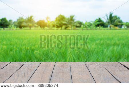 Old Wooden Table, Field Background, Trees And Sky: For Placing Items And Adding Text With Emphasis O