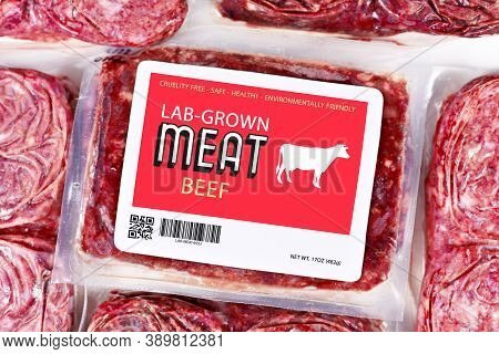 Lab Grown Cultured Meat Concept For Artificial In Vitro Cell Culture Meat Production With Frozen Pac
