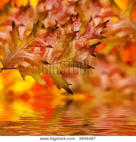 Fondo de otoño