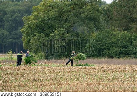 Ravenswoud - October 15 2020: Ravenswoud, Friesland, The Netherlands. Police Officers In Action Seiz