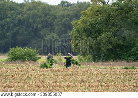 Ravenswoud - October 15 2020: Ravenswoud, Friesland, The Netherlands. Marijuana Found By Police On A