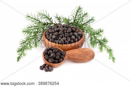 Dry Juniper Berries With A Green Branch, Isolated On White Background. Common Juniper Fruits In Wood
