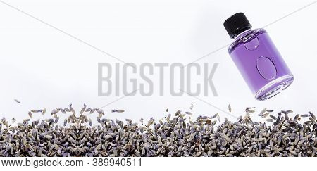 Essential Organic Lavender Oil In Glass Bottle With Dried Flowers - Lavandula