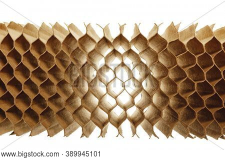 honeycomb cells of cardboard stiffening rib background