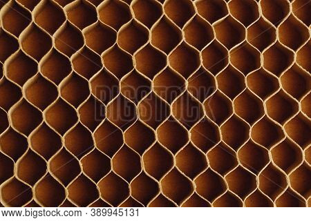 honeycomb cells of cardboard stiffening rib background