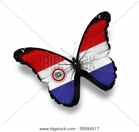 Paraguayský vlajky Butterfly, izolovaných na bílém