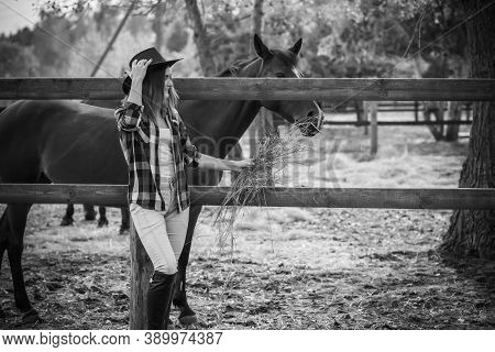 American Woman On A Horse Farm. Portrait Of Girl In Cowboy Hat With A Horses. Hippotherapy At Nature