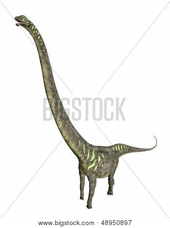 Dinosaur Mamenchisaurus