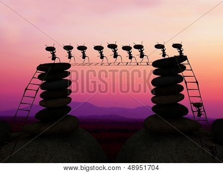 Ants Building
