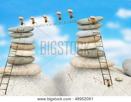 Ants Building