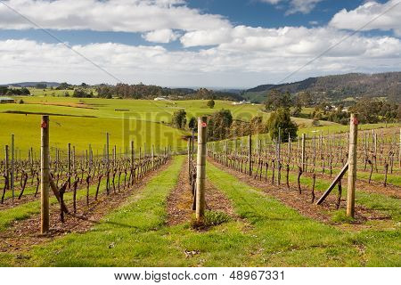 Barringwood Park Winery