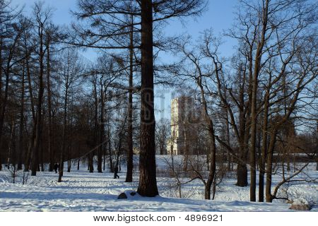 sonniger Tag in Tzarskoe selo