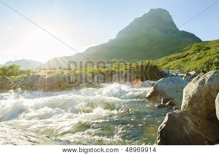 Wild River Sun