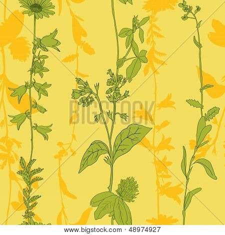 Herbal seamless pattern