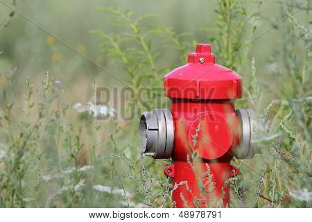Red Hydrant