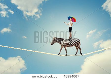 Séta a kötél a magas égen zebra képe