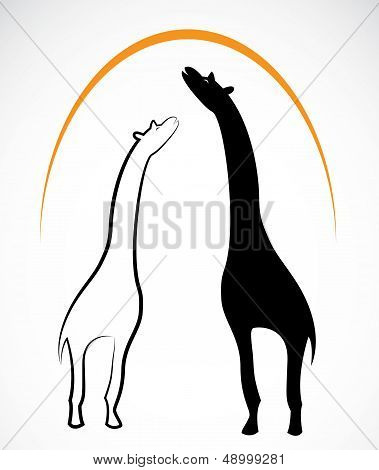 Vector Image Of An Giraffe