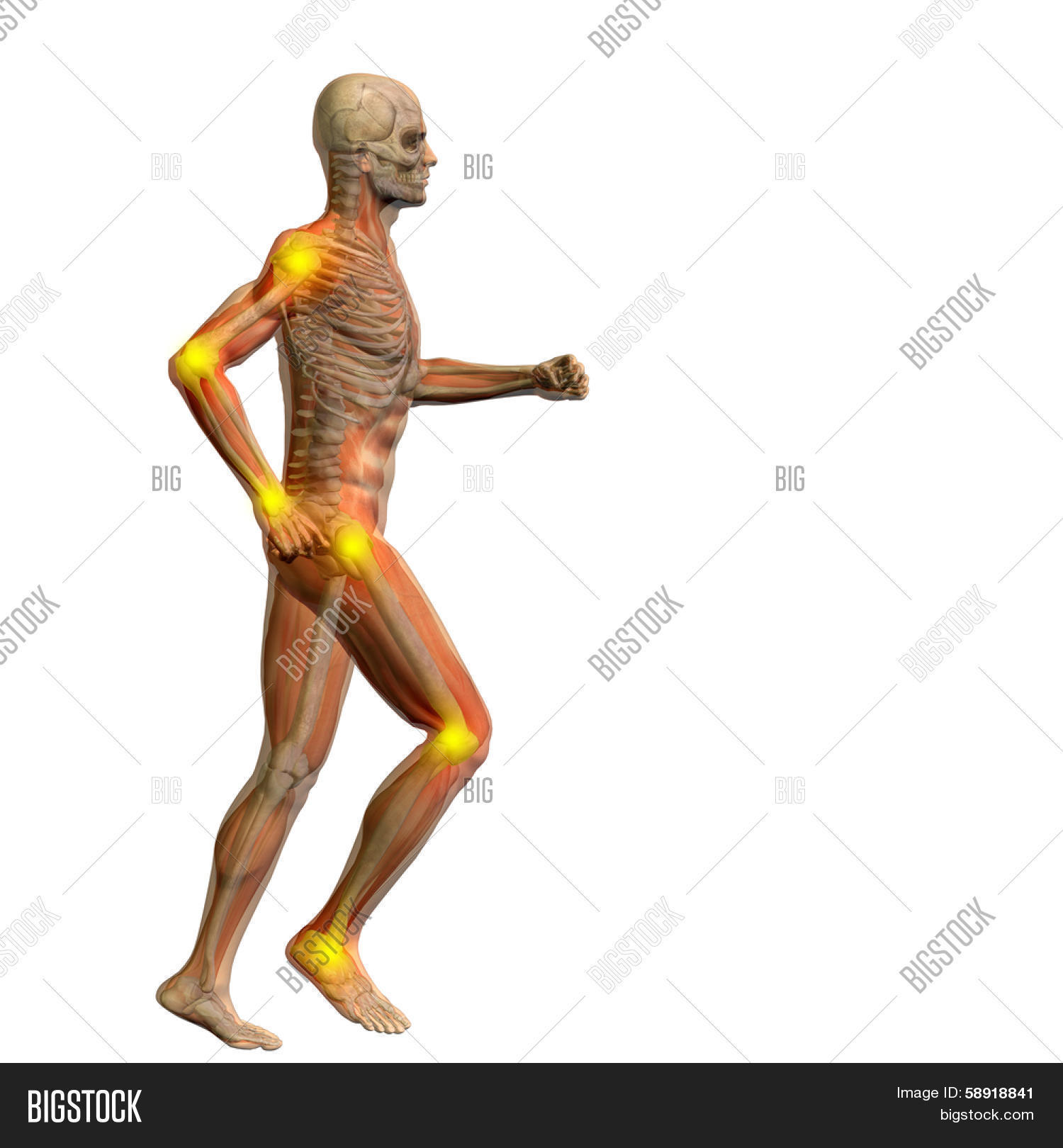 High Resolution Image & Photo (Free Trial) | Bigstock