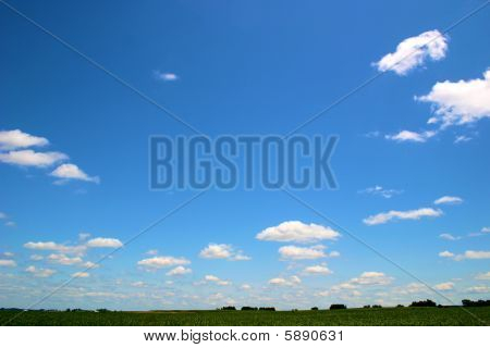 Blue Skies