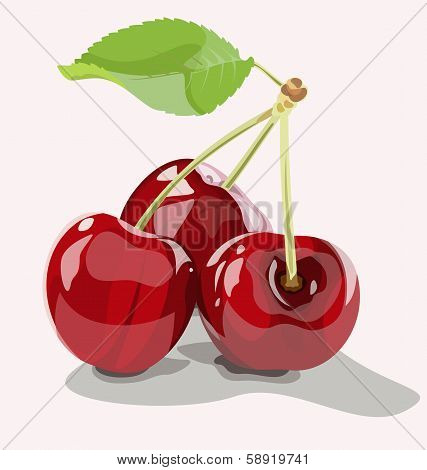 Three Ripe Cherries
