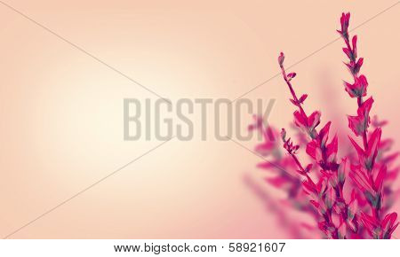 abstract flower invitation card template