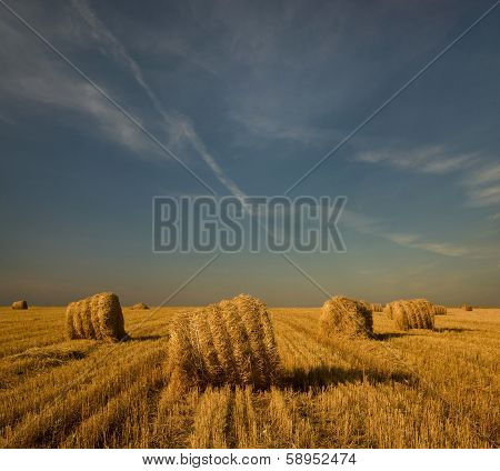 Landscape. Straw Bales In The Field. Evening.