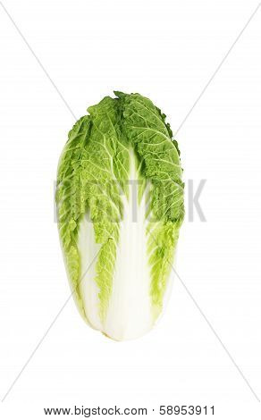 Chinese Cabbage Isolated On White