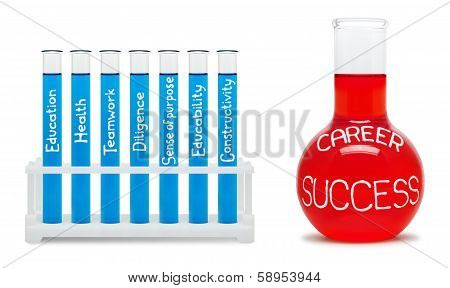 Formula Of Career Success. Concept With Blue And Red Flasks.
