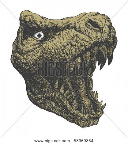 Tyrannosaurus Dinosaur . Hand drawn. Vector eps 8
