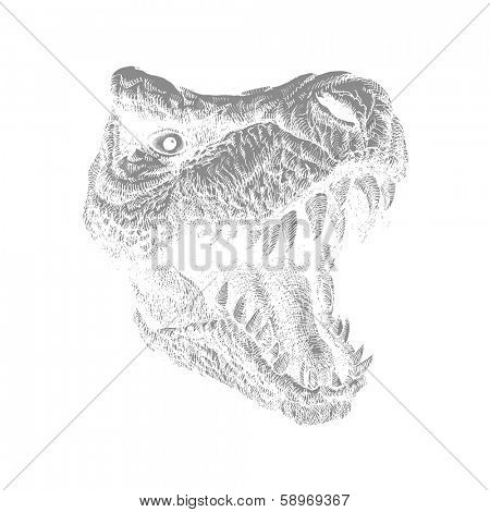 Tyrannosaurus Dinosaur . Hand drawn. Vector eps 8