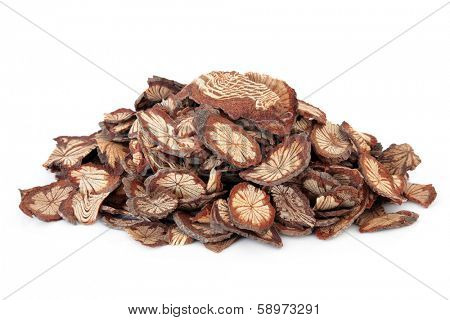 Sagent glory vine used in chinese herbal medicine over white background. Hong teng.