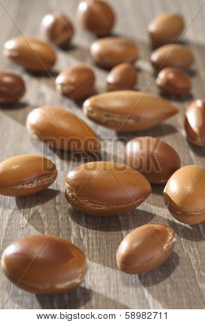 Seeds Of Argan A Close Up On Wood