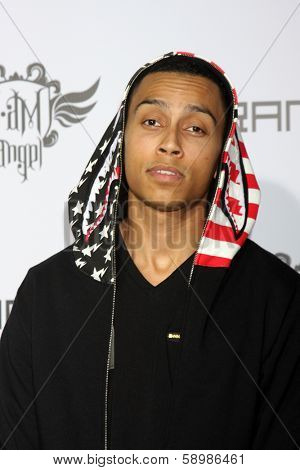 LOS ANGELES - JAN 23:  Sebastian Mikael at the Annual Trans4m Benefit Concert at Avalon on January 23, 2014 in Los Angeles, CA