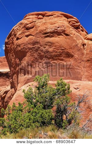 Garden Gnome Rock Formation Canyon Arches National Park Moab Utah