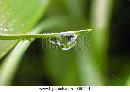Rain Drop
