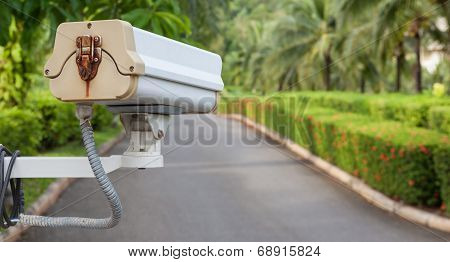 Security Camera, Cctv In Garden