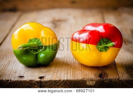 Colorful Bell Peppers