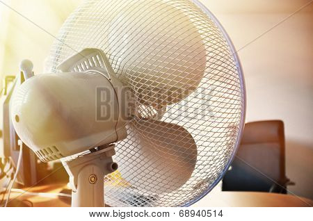 Fan in the office