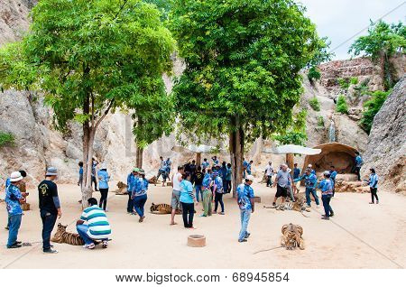 Tourists posing with tigers at the Tiger Temple in Kanchanaburi, Thailand.