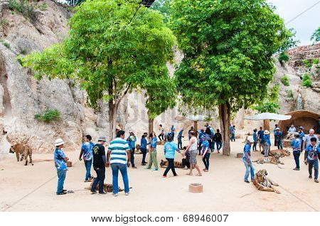 Tourists posing with tigers at the Tiger Temple in Kanchanaburi, Thailand.