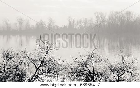 Misty Winter Morning On River Bank
