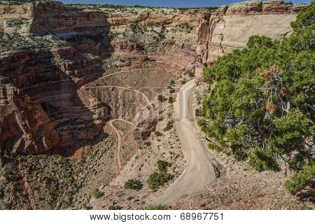 Canyonlands Shafer Trail Overlook
