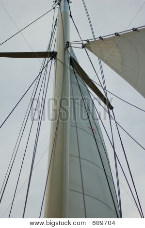 Maston Halyards