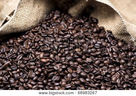 coffee beans in bag
