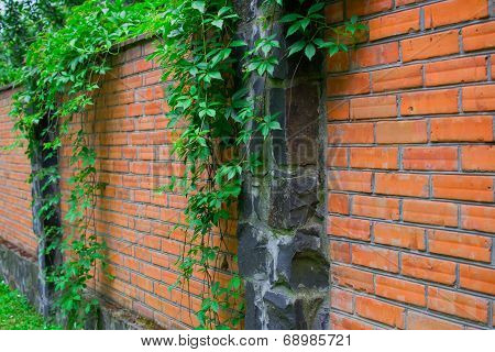 Brick Fence