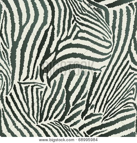 Animal Zebra Seamless Background